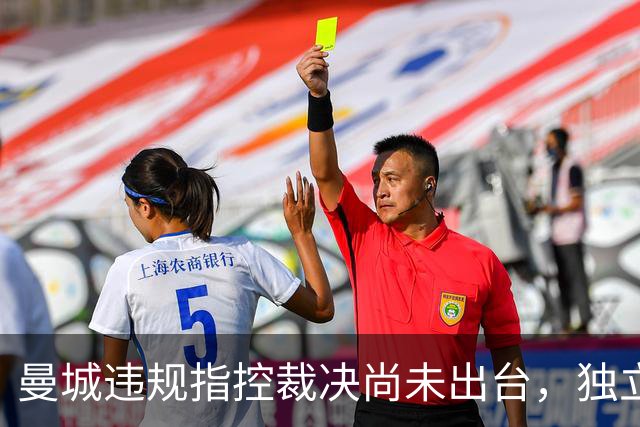 曼城违规指控裁决尚未出台，独立审查几乎全盘认定