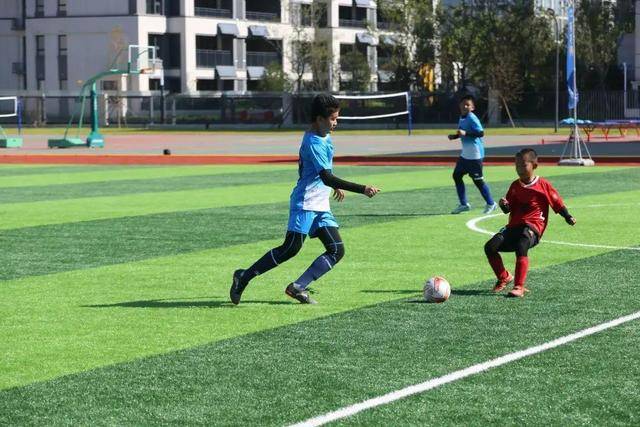 组图：西班牙2-0法国 法国队主教练德尚接受采访表情失望